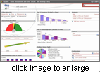 DSP Performance Canvas Software - Business Intelligence Dashboards &amp; Scorecards