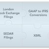 Eliminate EDGAR XBRL Validation Errors using IBM Cognos FSR from IBM